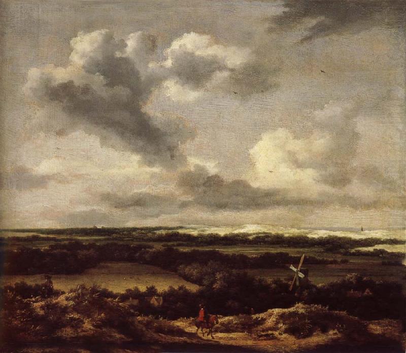 Jacob van Ruisdael Dune landscape with a rabbit hunt